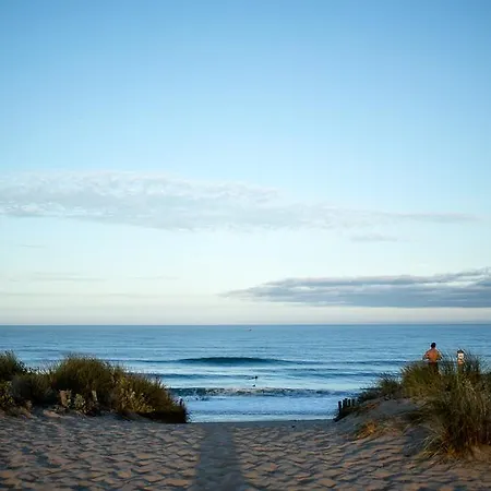 Paradiles * 道拉斯奥莱龙