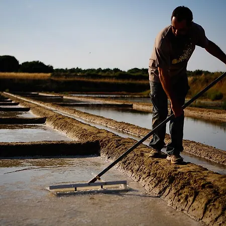 Сasa de vacaciones Paradiles Dolus d'Oléron
